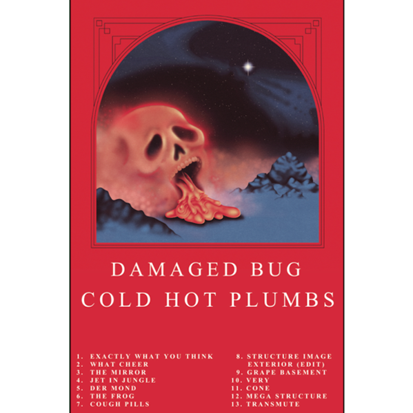 DAMAGED BUG - "Cold Hot Plumbs" (CASS)