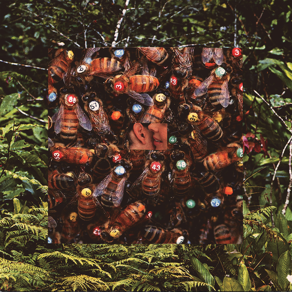 NUMB BATS - "Bees & Trees" (CD)